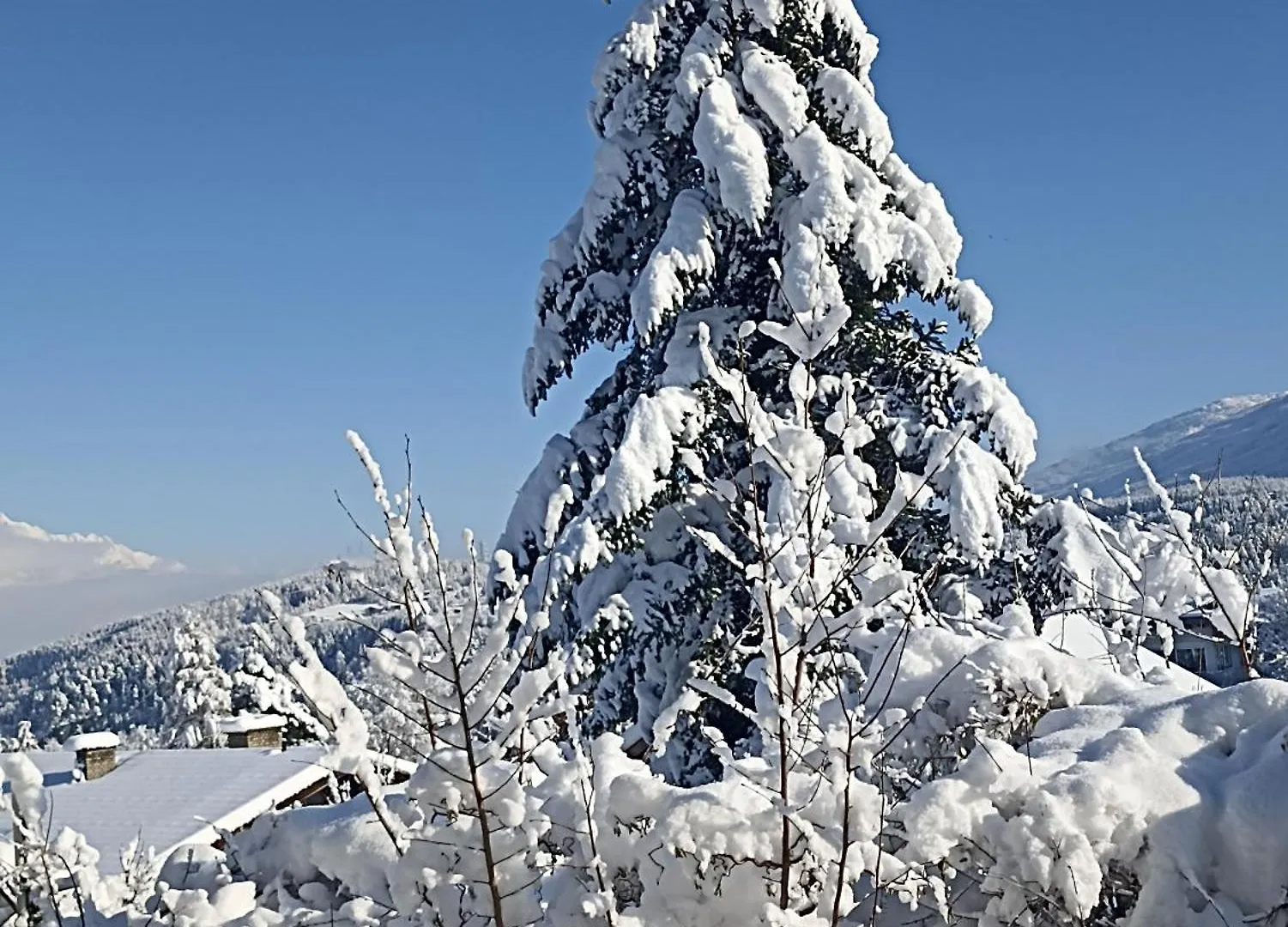 דירות מוטרס Gaestehaus Alpenblick 0*,