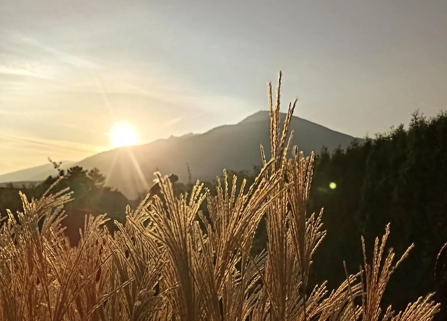 דירות מוטרס Gaestehaus Alpenblick בית אירוח